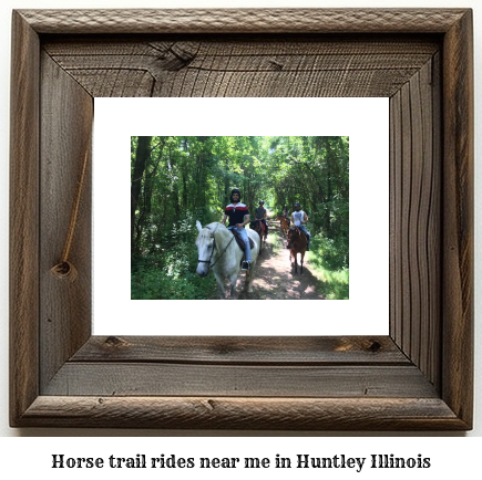 horse trail rides near me in Huntley, Illinois